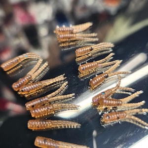 May include: A close-up of a group of brown and clear plastic fishing lures with multiple appendages. The lures have a segmented body and a blue accent.