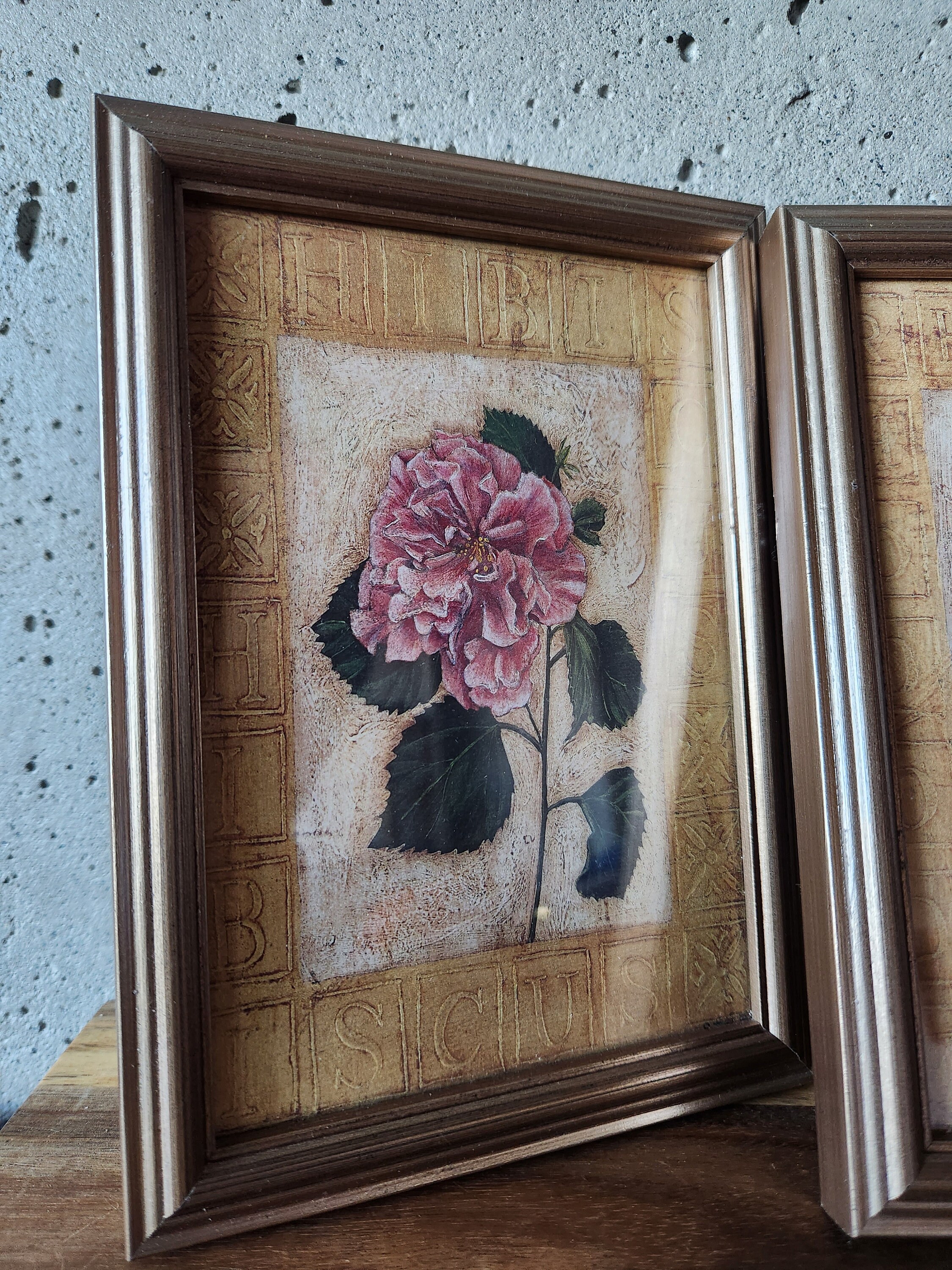 Vintage Set of 3 Shelley Hely Framed Prints-art Prints-australian