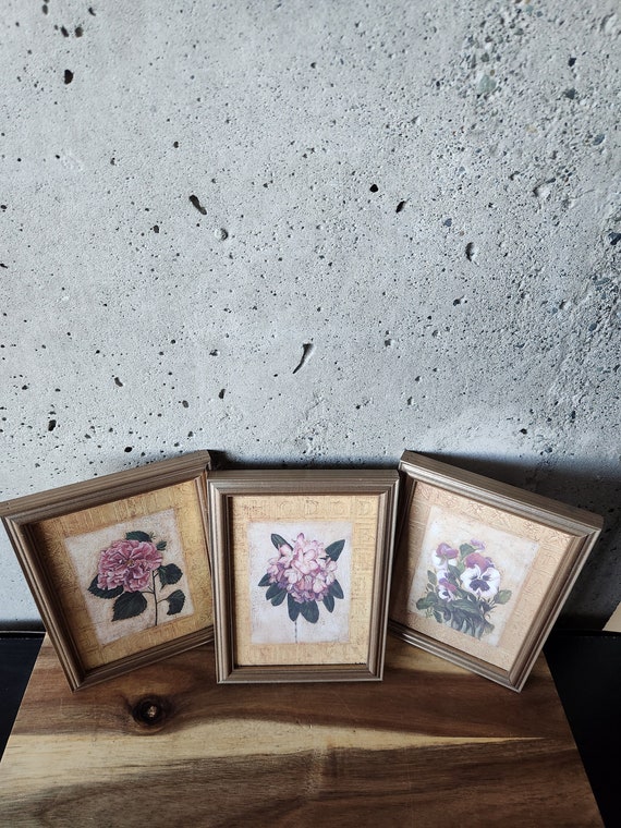 Vintage Set of 3 Shelley Hely Framed Prints-art Prints-australian