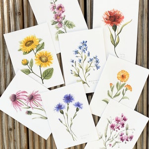 Postkarten Set Serie Bauerngarten - Blumen Aquarell Fine Art Print