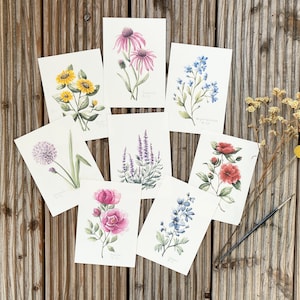 Postkarten Set Serie Sommergarten - Blumen Aquarell Fine Art Print