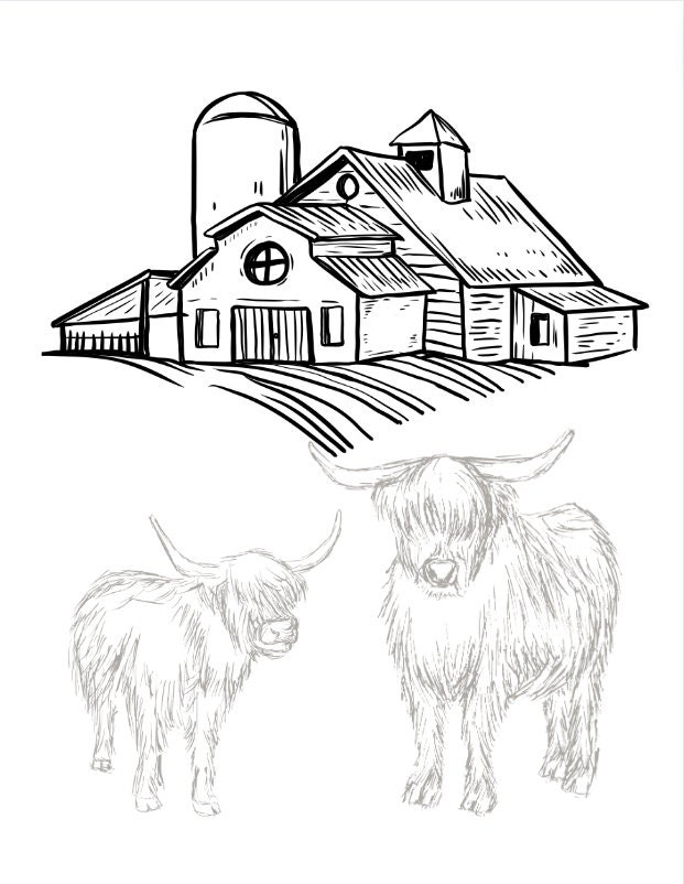 Highland Cow Color Sheet - Etsy