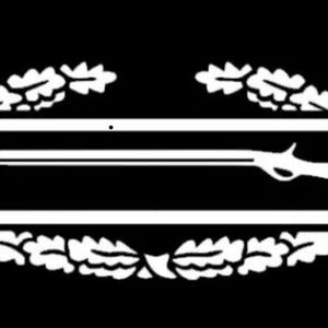 Combat Infantry Badge CIB