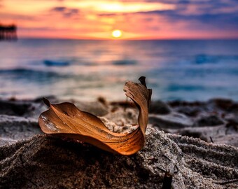 Sunrise Embrace – Photographie d'art côtière au lever du soleil | Floride