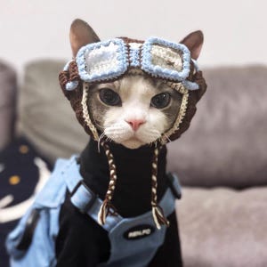 May include: A brown crocheted aviator hat with light blue goggles and braided chin straps, worn by a cat. The hat features a textured knit pattern and is paired with a black shirt and a light blue harness with the text RENFO visible.