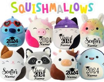 Personalized Graduation Squishmallows, custom gift, Graduation Plush, Class of 2024, personalized gift, custom plush, graduation gift unique