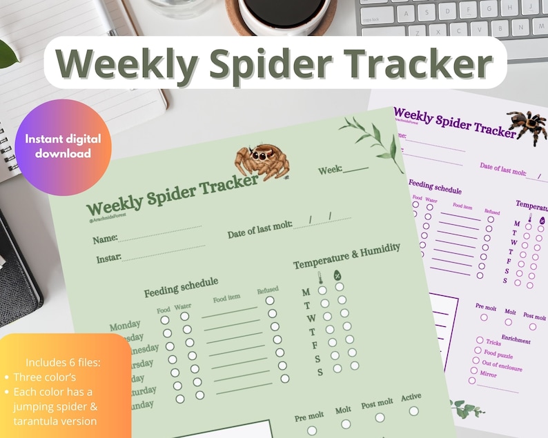 Weekly Spider Tracker - Jumping Spider & Tarantula Versions *three ...