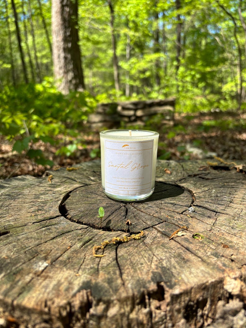 CrowAndCoArtisan Santal Grove Candle - Thumbnail 5