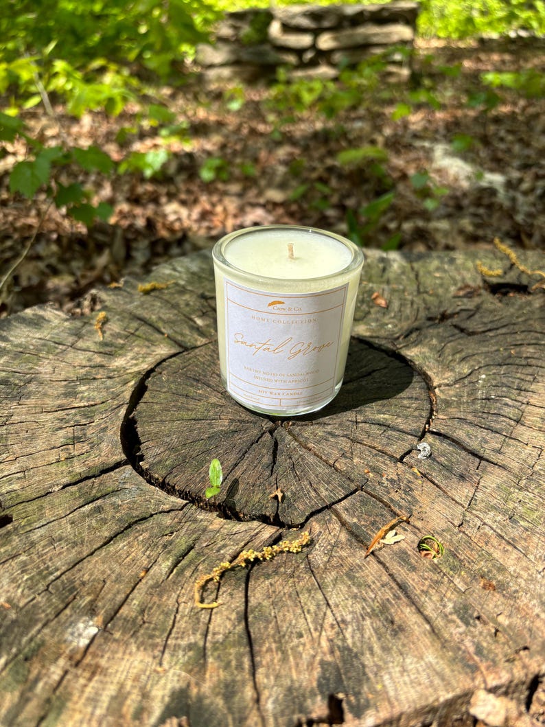 CrowAndCoArtisan Santal Grove Candle - Thumbnail 4