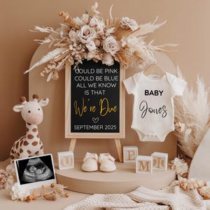 Digital Pregnancy Announcement, Pregnancy Reveal, Social Media, Gender Neutral, Facebook, Instagram, Boho, Pink our Blue Baby