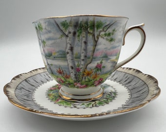 Vintage Teacup & Saucer Royal Albert Crown China Silver Birch England
