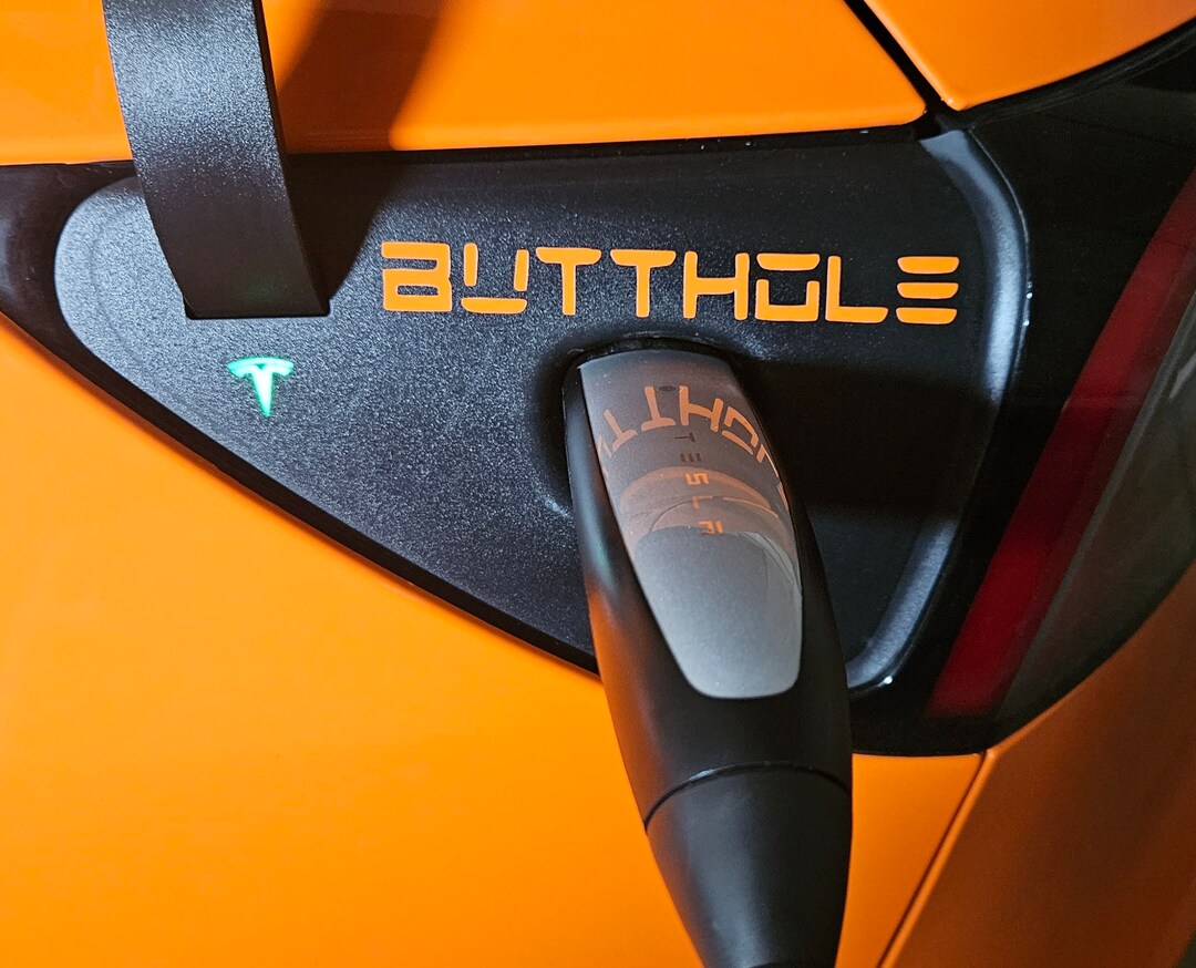 Butthole Decal - Etsy