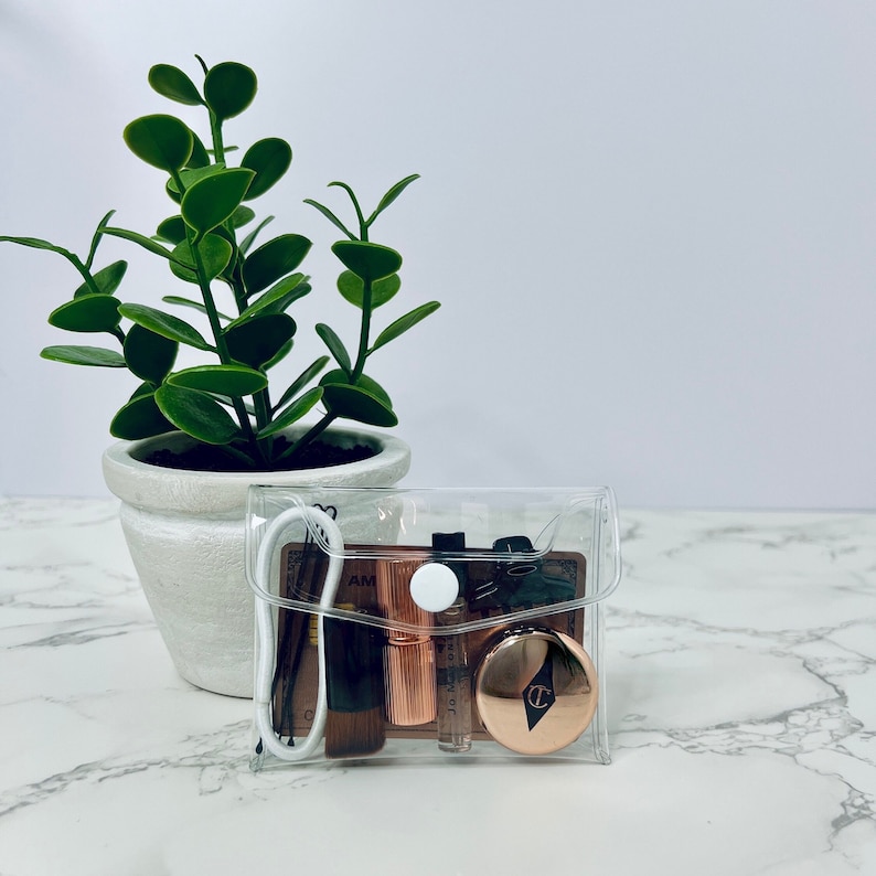 Puede incluir: Un neceser cosm&eacute;tico transparente y rectangular que contiene brochas de maquillaje, una polvera y peque&ntilde;os viales. La bolsa se cierra con un broche blanco. A la izquierda hay una peque&ntilde;a planta en maceta con hojas verdes.