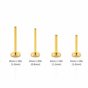 May include: Six gold-colored flat back labret studs arranged in a row. The labels below indicate sizes: 8mm x 16G (1.2mm), 8mm x 18G (1.0mm), 8mm x 20G (0.8mm), 6mm x 16G (1.2mm), 6mm x 18G (1.0mm), and 6mm x 20G (0.8mm).