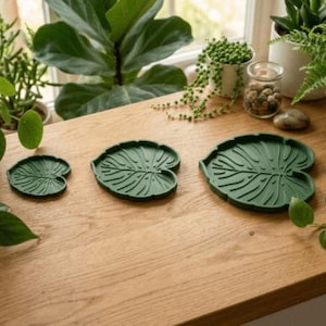 May include: Three dark green coasters shaped like monstera leaves in varying sizes. Each coaster features a raised, textured vein pattern mimicking the natural structure of a leaf, with a smooth, matte finish and a distinct heart-shaped base.