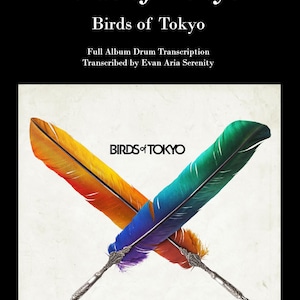 Birds of Tokyo - Birds of Tokyo (Full Album Drum Transcription)