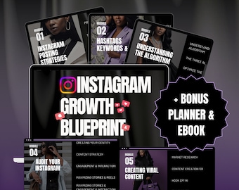 Instagram Growth Blueprint Mini Course: MRR & PLR
