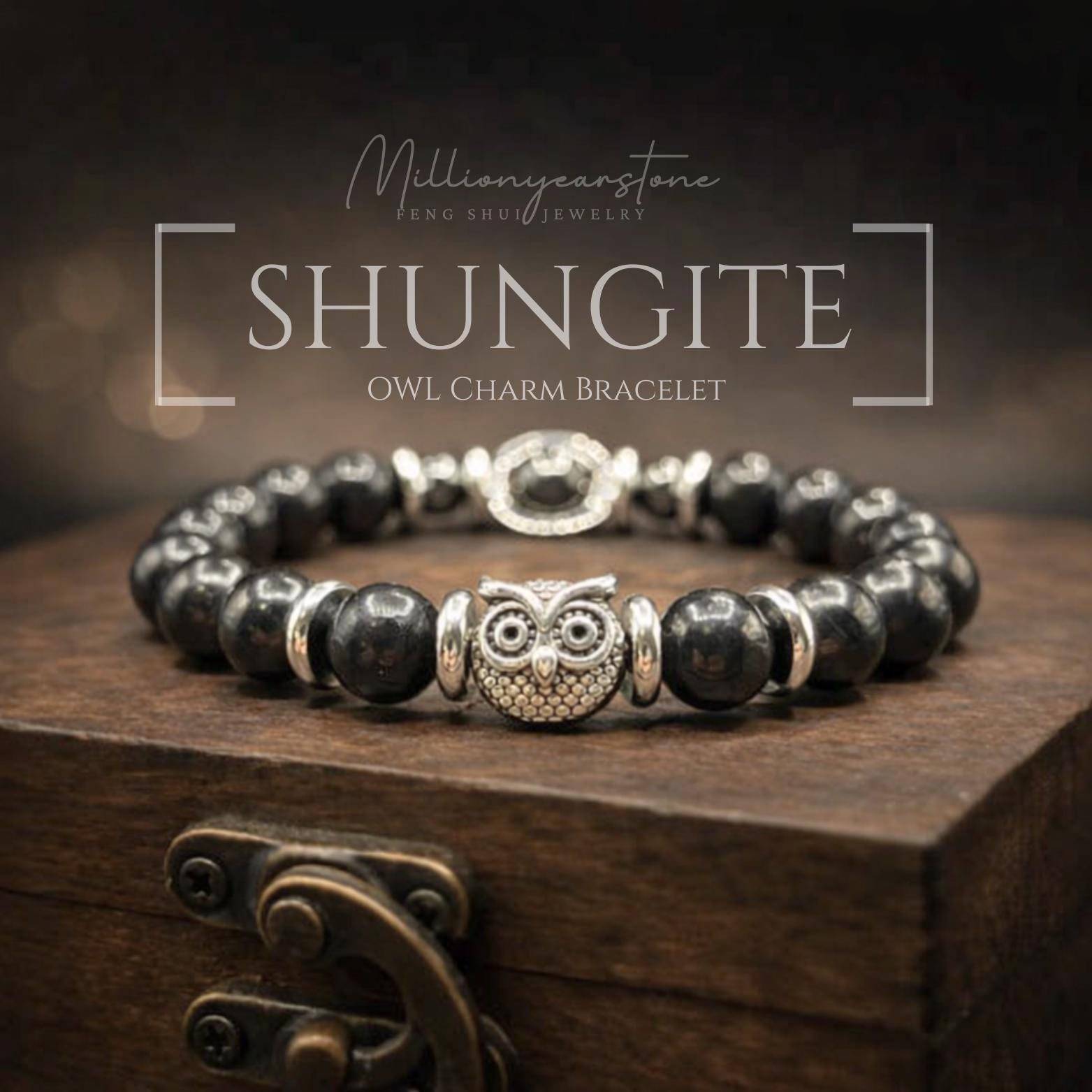 Handmade Shungite & Hematite Owl Bracelet: Men's Stone Jewelry, 8mm beaded