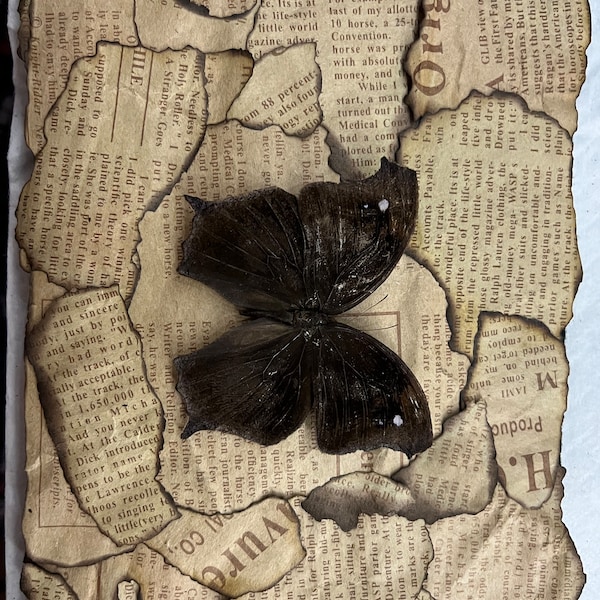 Burned Newspaper Black Butterfly Shadow Box