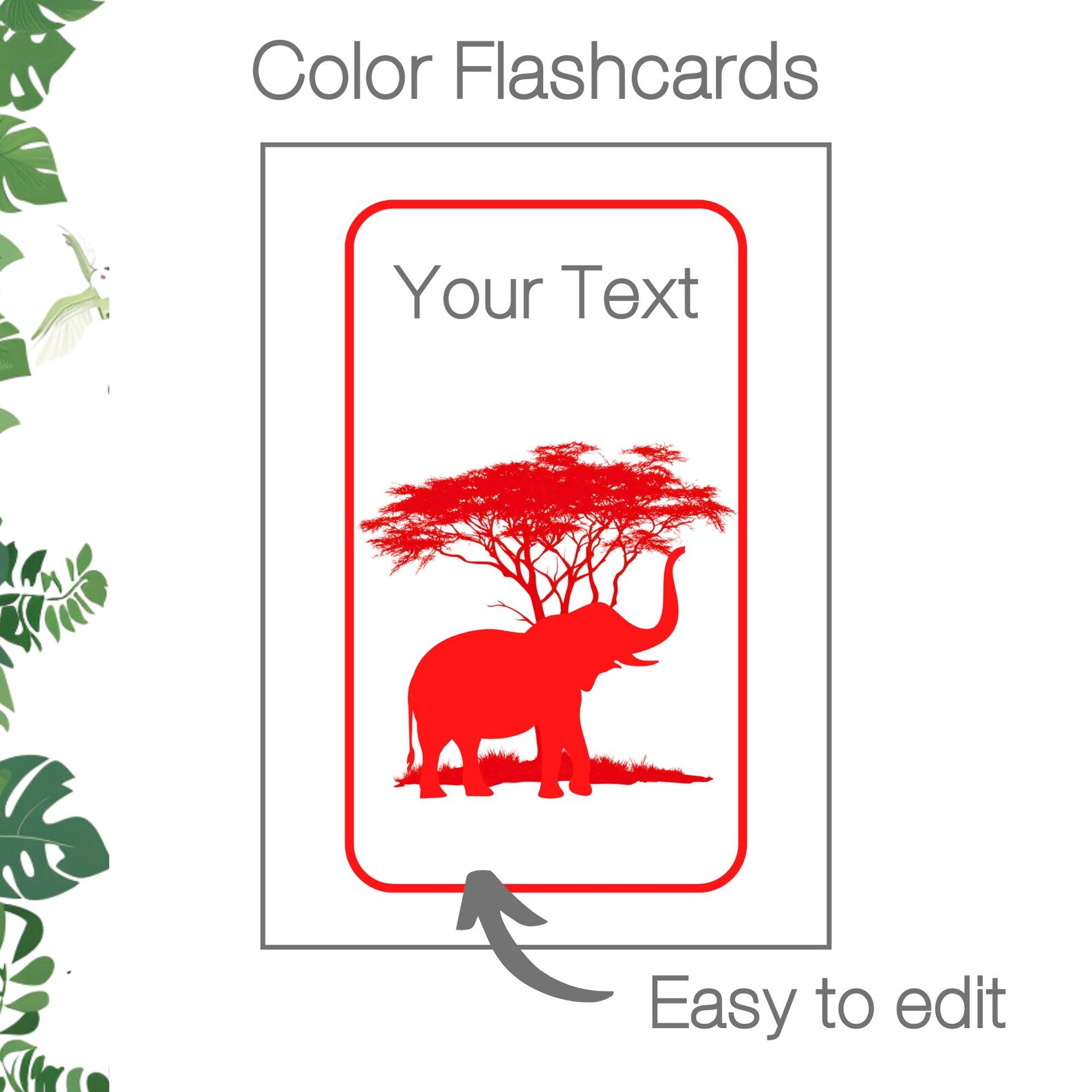 Safari Classroom Theme | Color Flashcards | Color Recognition ...