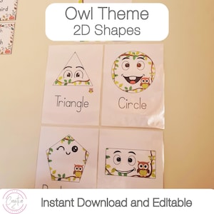 Owl Theme Classroom | 2D Shapes Posters | Classroom Decor | Math Shape Posters | Editable Posters | Instant Download | Printable 2D Shapes