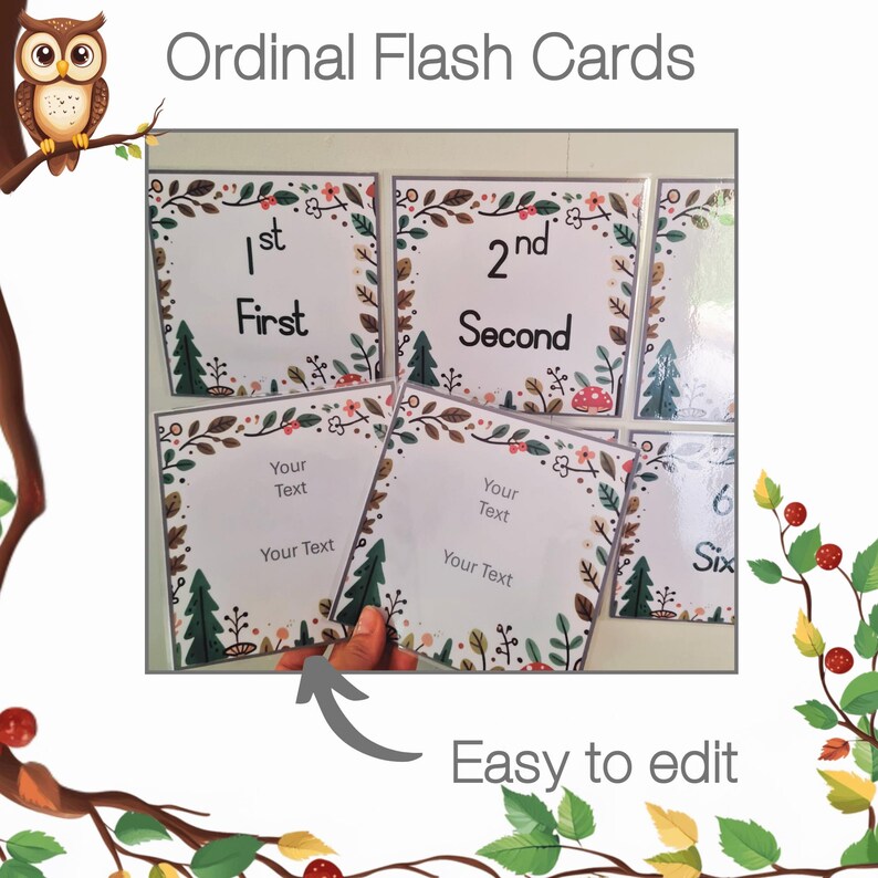 Owl Theme Classroom | Ordinal Numbers Poster | Editable Flashcards ...