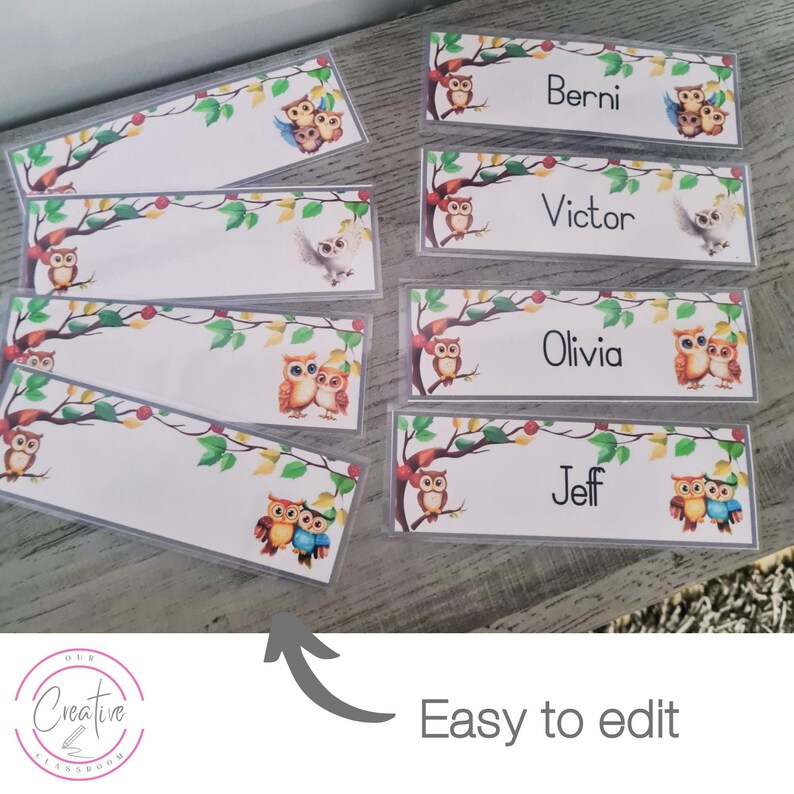 Owl Theme Classroom Name Tags Printable - Name Tags for Little Learners ...