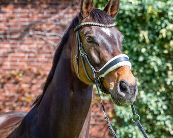 Harmony Bridle - anatomisch bitloos hoofdstel met kristallen hoofdband