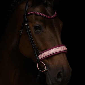 Op de afbeelding: Een close-up van een bruin paard met een zwart hoofdstel en een roze frontriem en neusriem. De frontriem is versierd met roze strass-steentjes. De neusriem heeft een bloemenpatroon. De bitringen zijn roségoud.