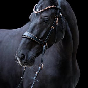 Puede incluir: Un caballo negro con una cabezada de cuero negro con detalles en oro rosa y una frontal de cristal de oro rosa.