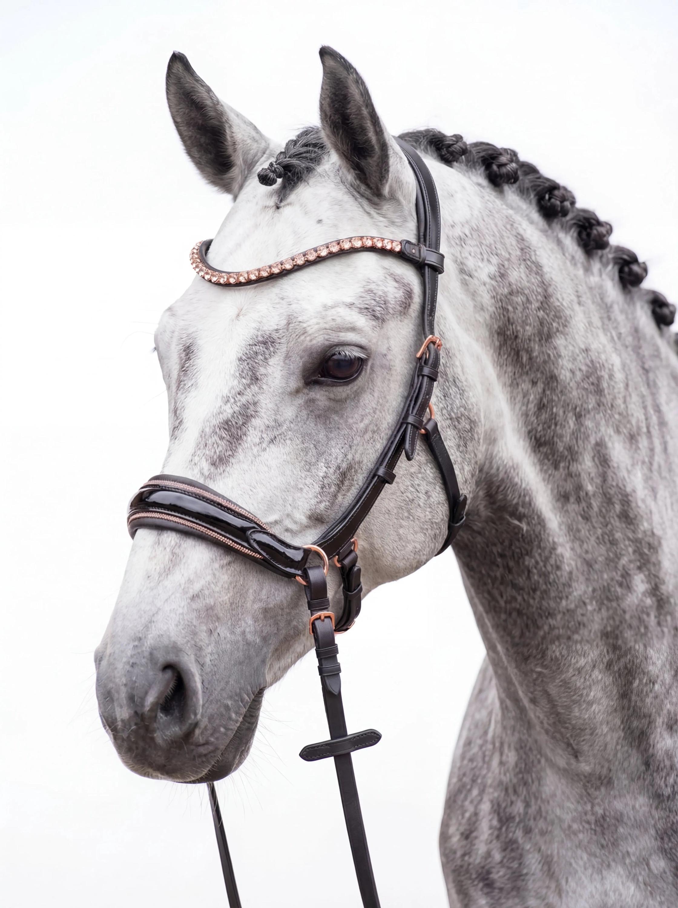 Rênes en biothane avec arrêtoirs Kavalkade - brown - Poney