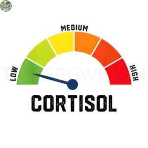 Könnte beinhalten: Ein Cortisol-Pegel-Messgerät mit einer gebogenen Skala, die von Grün nach Rot verläuft. Der Text lautet "LOW", "MEDIUM" und "HIGH" entlang der Skala. Das Wort "CORTISOL" ist in fetten, schwarzen Buchstaben unter dem Messgerät gedruckt.