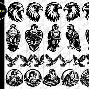 Puede incluir: Un conjunto de 16 ilustraciones vectoriales en blanco y negro de halcones y halcones en varias poses. Las ilustraciones son de estilo vintage y serían perfectas para usar en una variedad de proyectos, como diseños de camisetas, logotipos o gráficos de sitios web.