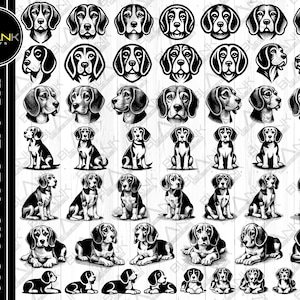 Puede incluir: Un conjunto de 40 ilustraciones en blanco y negro de perros Beagle en varias poses. Las ilustraciones son de estilo vintage y presentan el texto "BLANK PRINTS" en la parte superior de la imagen.
