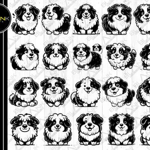 cute shetland sheepdog bundle svg png jpg eps dxf bundle silhouette clipart cricut vector commercial use custom shetland sheepdog dog vector