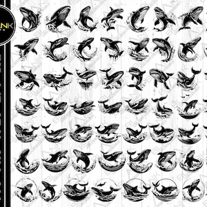 Puede incluir: Una colección de ilustraciones de ballenas en blanco y negro en varias poses, incluyendo saltos y nado. Los diseños son adecuados para los formatos SVG, PNG, JPEG, EPS y DXF. La imagen incluye el texto "BLANK PRINTS".
