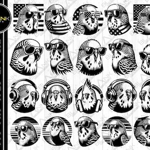 Wellensittich bündel svg png jpeg eps dxf bündeln Kontur Cricut kommerzielle Nutzung benutzerdefinierte Shirtdesign Wellensittich Vogel USA Sonnenbrille svg