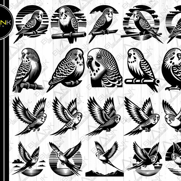 budgie bundle svg png jpeg eps dxf bundle silhouette cricut commercial use custom shirt design budgie bird parakeet bird svg