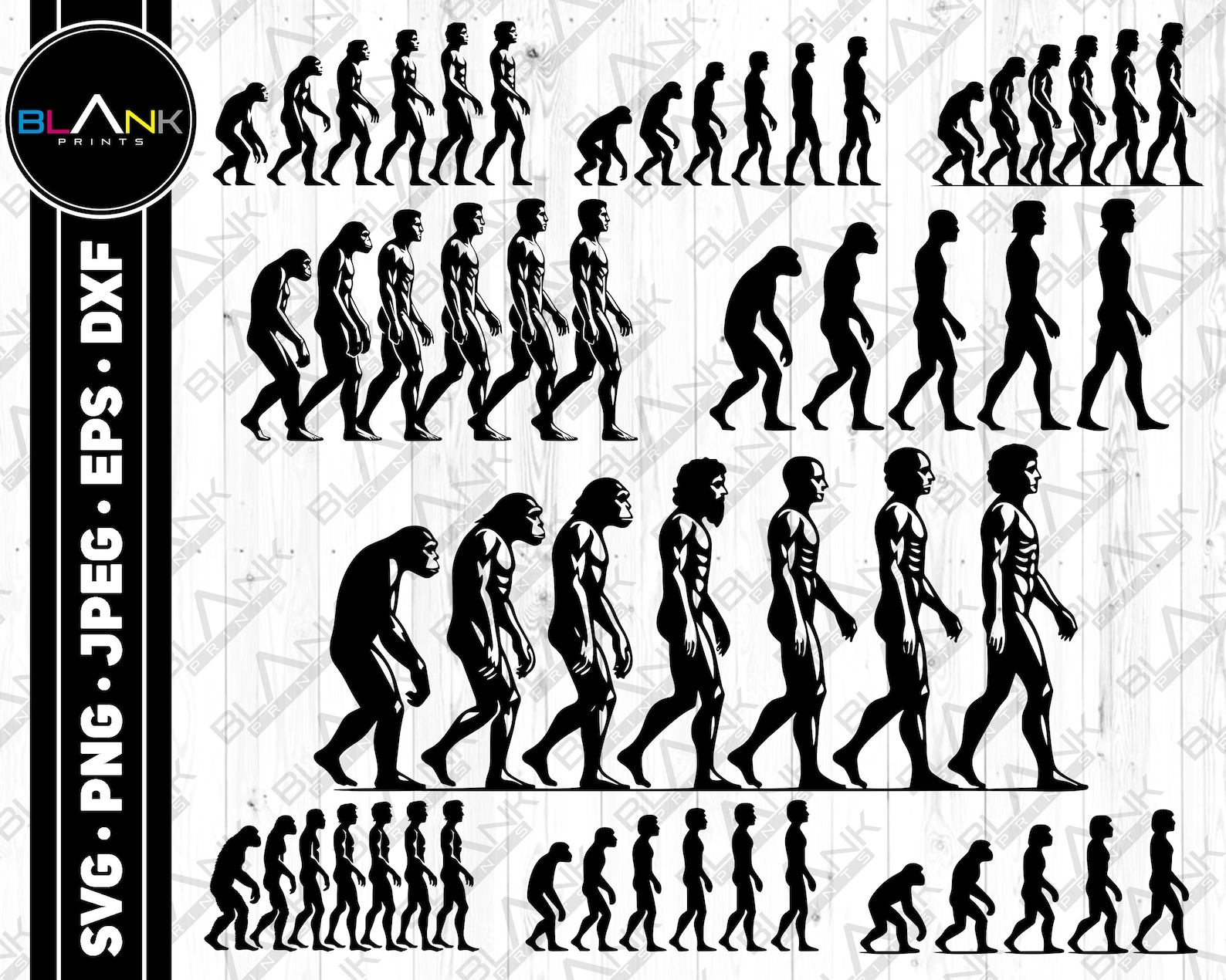 Human Evolution Vector Bundle (svg, Png, Jpg, Eps, Dxf) - Etsy