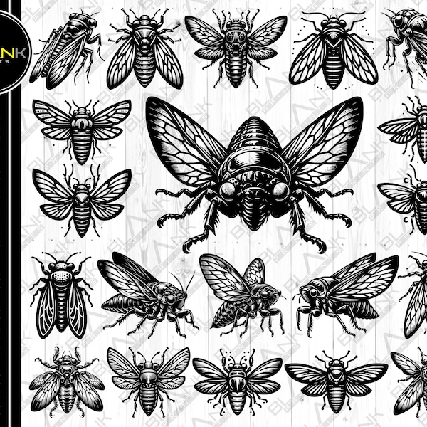 cicadas bundle svg png jpeg eps dxf bundle silhouette cricut commercial use custom cicadas insect vector silhouette svg bundle