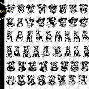 pitbull bundle svg png jpeg eps dxf bundle silhouette clipart cricut vector commercial use custom pitbull logo dog bundle dog pitbull animal