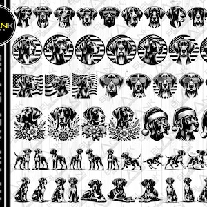 Puede incluir: Un conjunto de 50 ilustraciones vectoriales en blanco y negro de un Braco Alemán de Pelo Corto en varias poses, incluyendo correr, sentarse, estar de pie y tumbarse. Las ilustraciones son perfectas para usar en proyectos digitales e impresos.