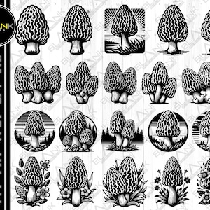 May include: A set of 16 black and white illustrations of morel mushrooms in various poses and settings. Some mushrooms are alone, while others are in groups. Some are in a forest setting, while others are in a field. The illustrations are in a vintage style.