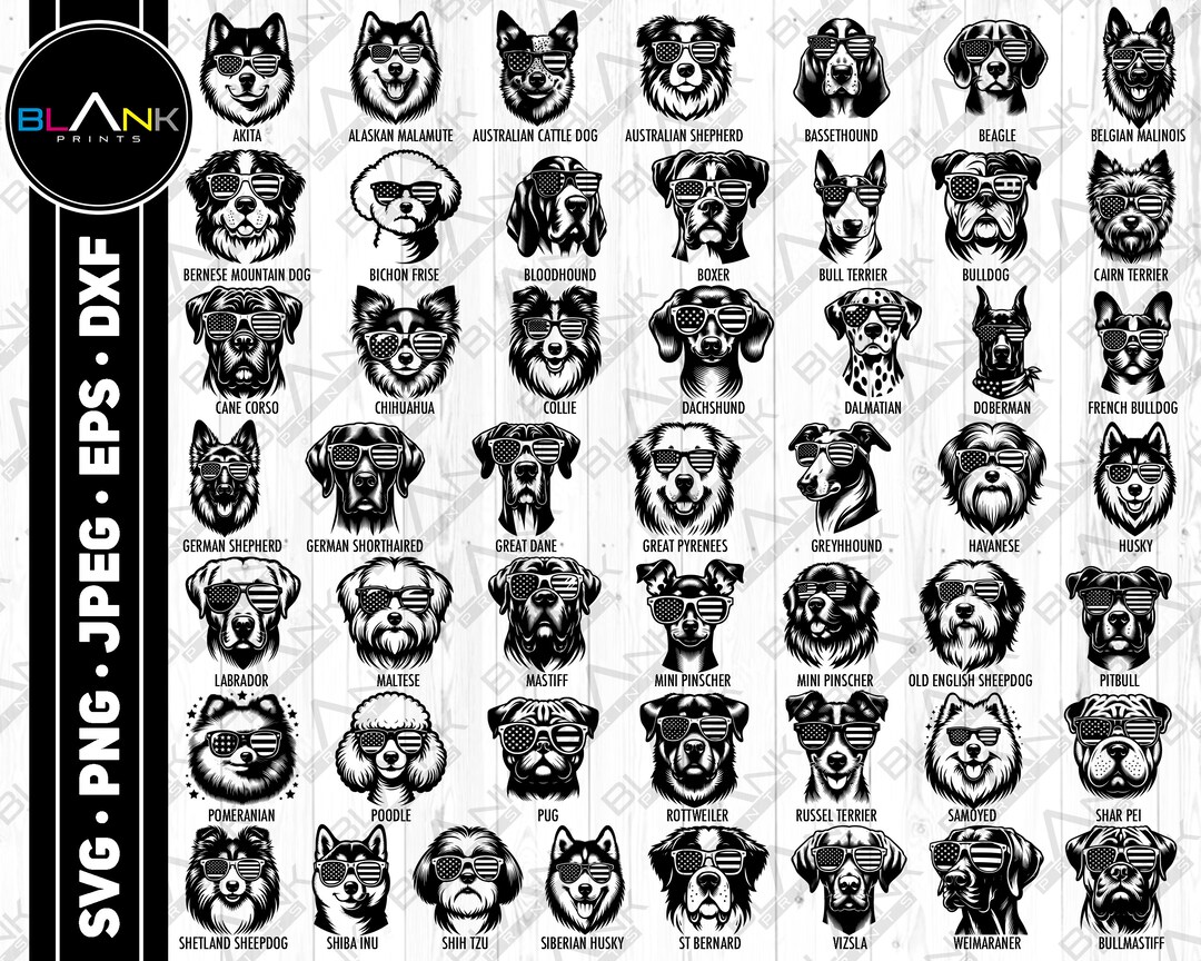 Dog Breeds With Sunglasses Bundle (svg, Png, Jpg, Eps, Dxf) - Etsy