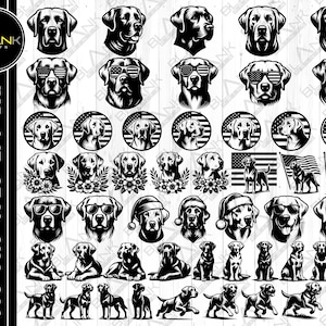May include: A collection of 40 black and white vector illustrations of Labrador Retriever dogs in various poses, including sitting, standing, and running. The illustrations are perfect for use in digital projects, such as website design, social media graphics, and print materials.