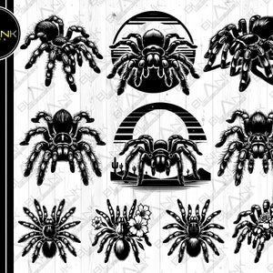 Puede incluir: Un conjunto de diez ilustraciones vectoriales en blanco y negro de tarántulas. Las tarántulas se representan en varias poses, incluyendo arrastrándose, de pie y saltando. Las ilustraciones son perfectas para usar en una variedad de proyectos, como camisetas, carteles y diseños de sitios web.