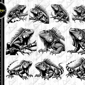 iguana bundle svg png jpeg eps dxf bundle silhouette cricut clipart commercial use custom iguana lizard bundle iguana silhouette iguana svg