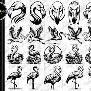 Flamingo Vector Bundle: svg, png, jpg, eps, dxf (Digital Download)