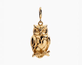Perched Owl Charm, Wide-Eyed Owl Pendant, Gift For Her