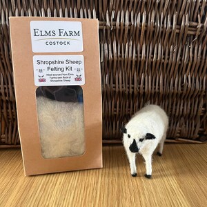 Black Sheep Felting Kit Needle Felting Kit DIY Kit Craft Kit Felting  Supplies DIY Craft Kit Starter Kit Needle Felted 